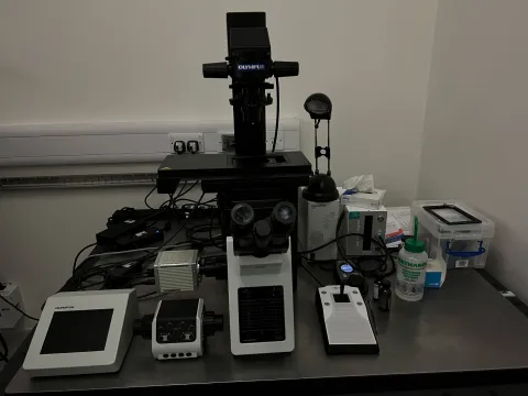 Fluorescence system