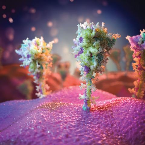 Digitally rendered image of SARS-CoV-2 viral spikes induced by the Oxford AstraZeneca vaccine