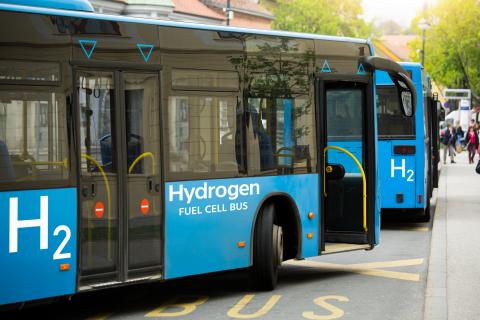 Two blue buses powered by hydrogen cell fuel