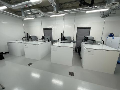 4 large fish husbandry tanks in our labs