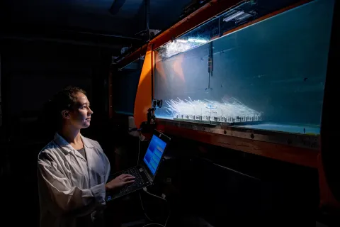 One researcher doing a flume experiment examining flow over seagrass mimics