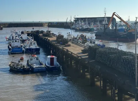 Boats in the port