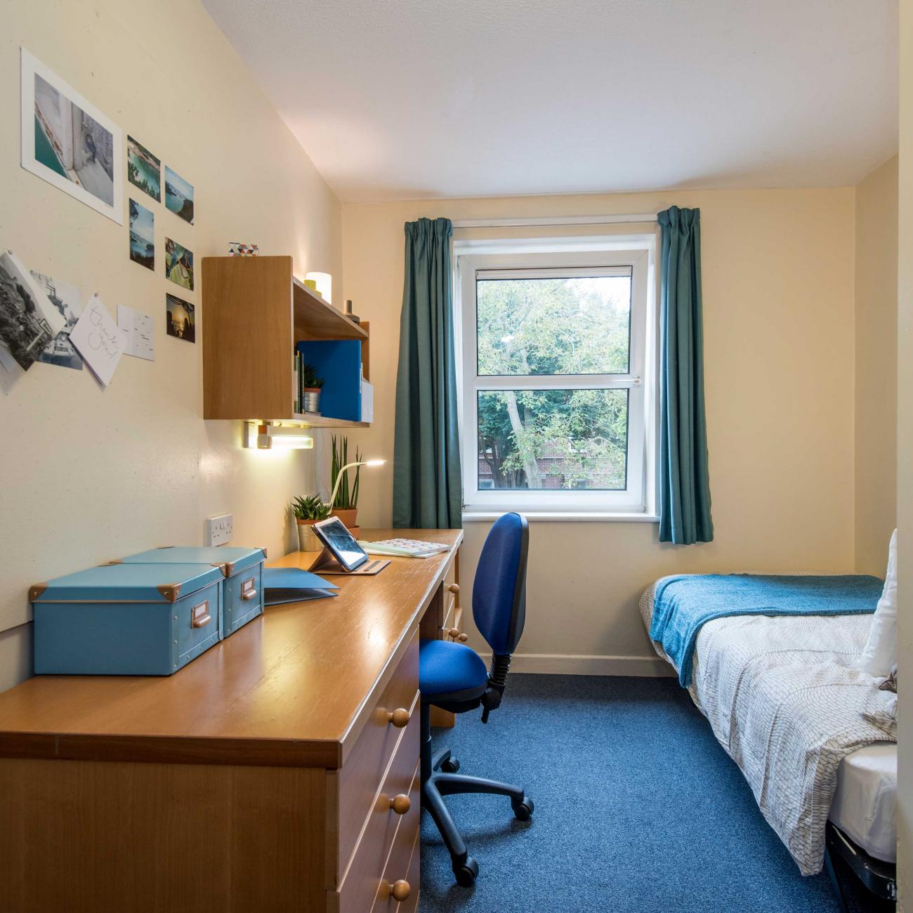 A bright, airy student bedroom with desk and single bed.