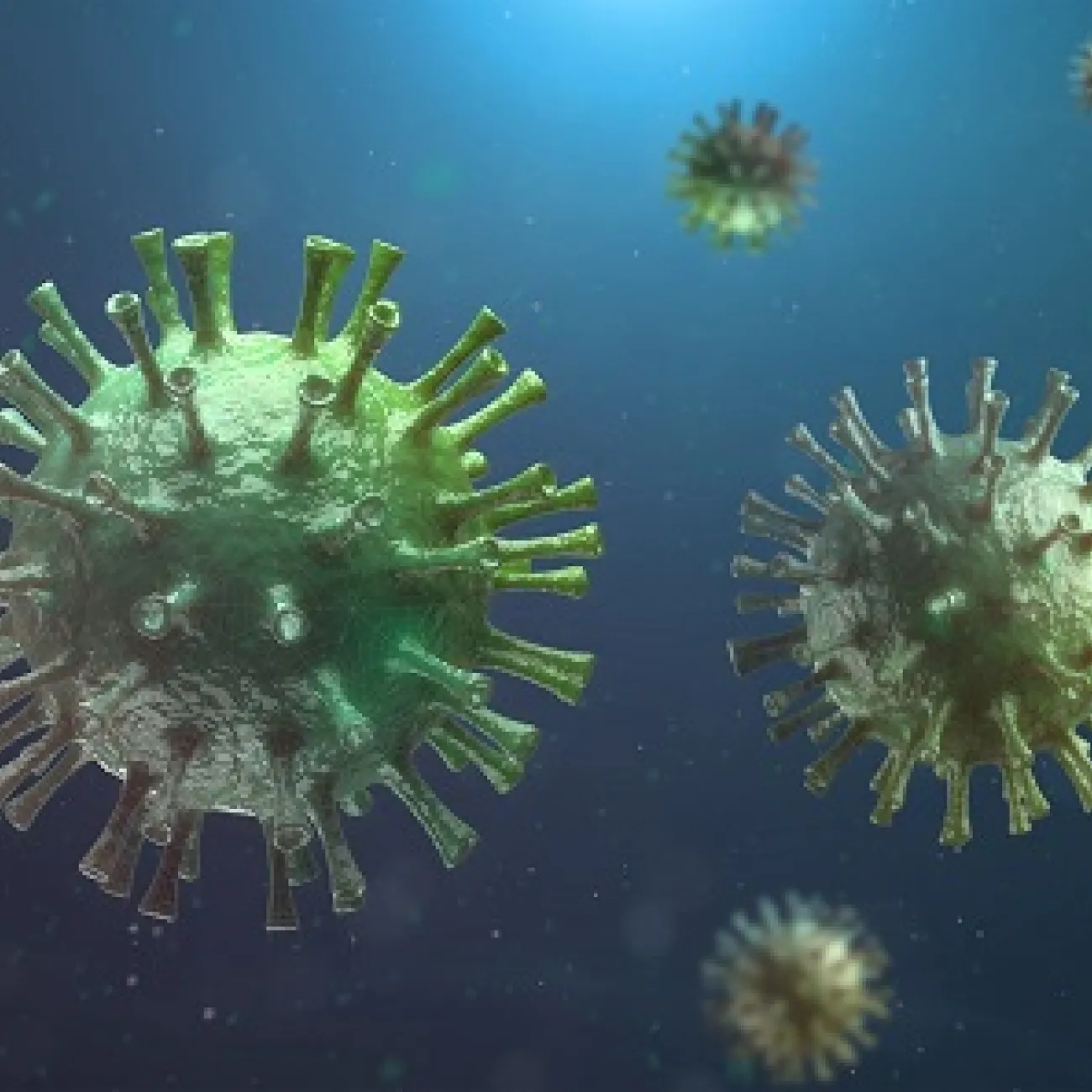 Covid-19 virus