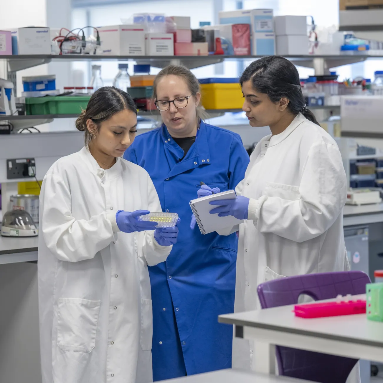 MSc Cancer Biology and Immunology students working in lab