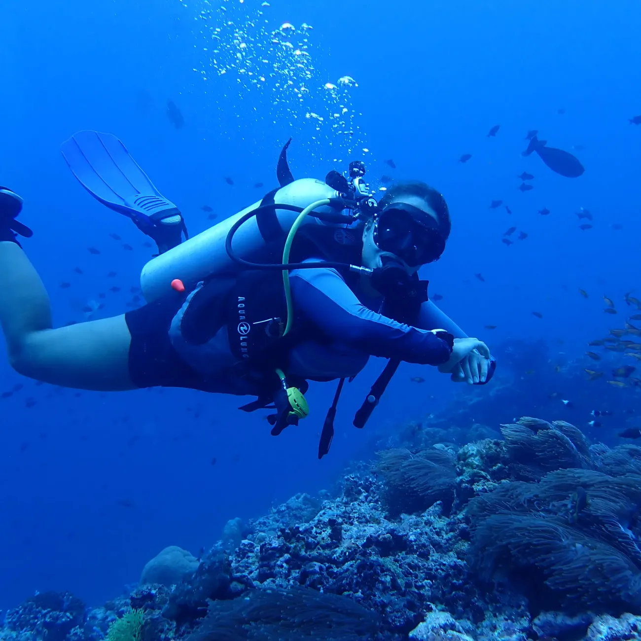 Scuba diver swimming above a coral reef with fish in clear blue water.