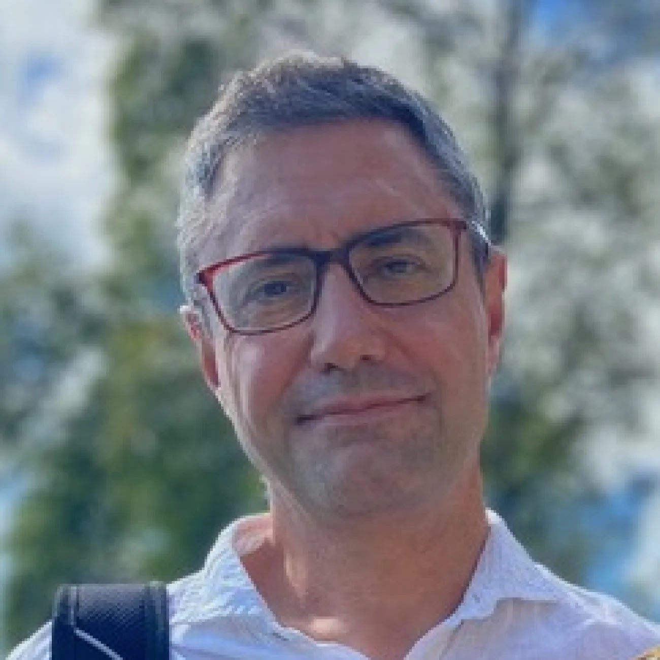 Professor Paolo Rapisarda