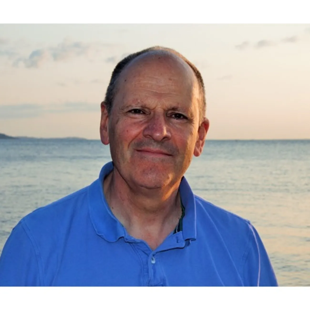 Professor Robert  Nicholls