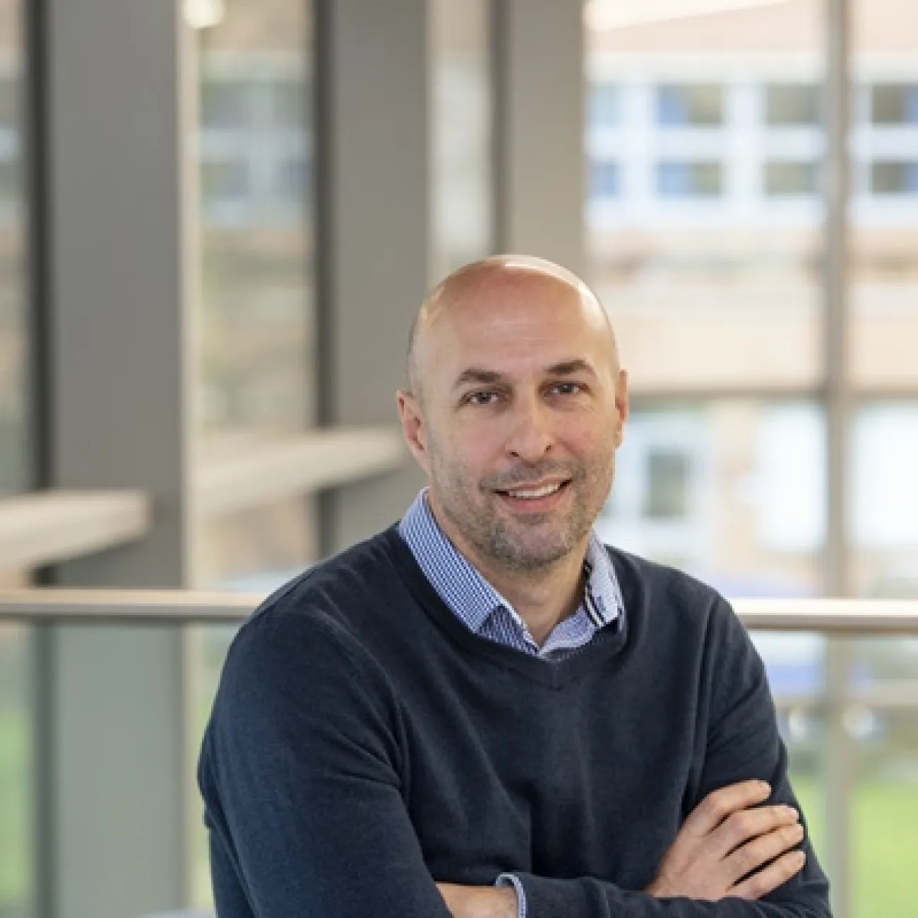 Professor Stephen Beers