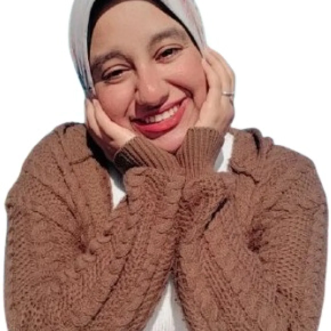 Ms Sara Noman