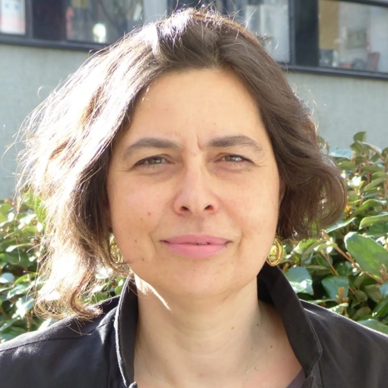 Professor Silke Roth
