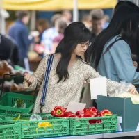 Student shopping for vegetables in the market.