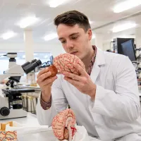 Student wearing a lab sits at a bench in a laboratory, surrounded by microscopes and technical equipment. He holds and takes a part a model of a human brain.