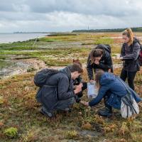 A group of students collect samples of plant life from a salt marsh on the banks of a large estuary.