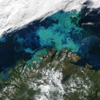 satellite image of the Barents Sea