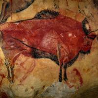 Bison painting at Altamira cave