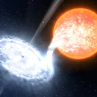 A black hole transient accreting matter from a neighbouring star