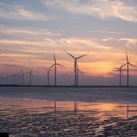 Coastal windturbines at sunset