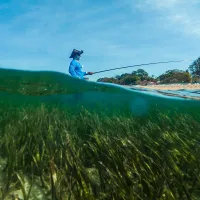 A person with a fishing line standing in the sea with lots of sea kelp 