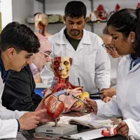 Students wearing white coats examining a heart model