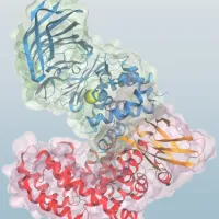 3D molecular visualization of a protein structure with secondary elements in blue, green, red, and orange, surrounded by a semi-transparent surface representation.