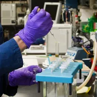 A scientist injects a test tube with fluid