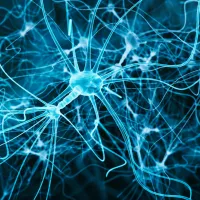 A detailed network of glowing blue neurons with branching structures on a dark background.