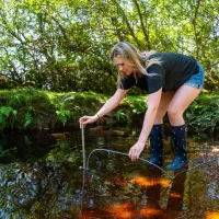 Student collecting water quality measurements from a stream during fieldwork.