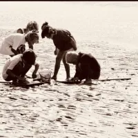 Children gathered around a bucket on a sandy beach at low tide.