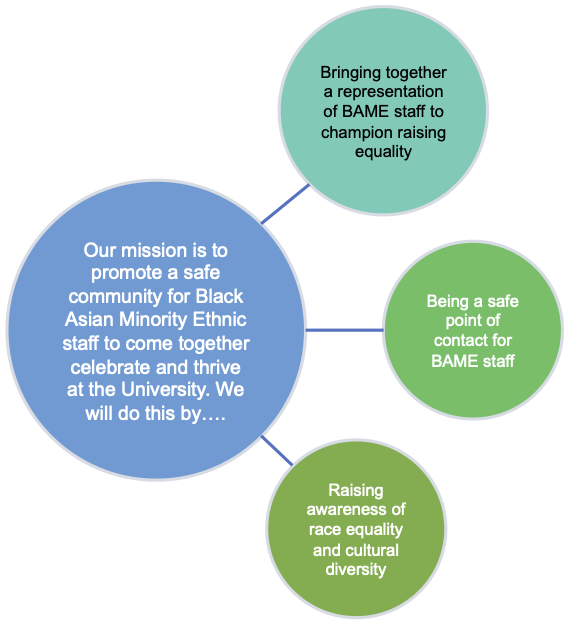 Summary of the aims of the Black Asian Minority Ethnic Staff Network