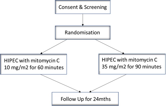 HIPEC-PMP trial schema