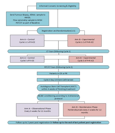 P+R-ICE schema