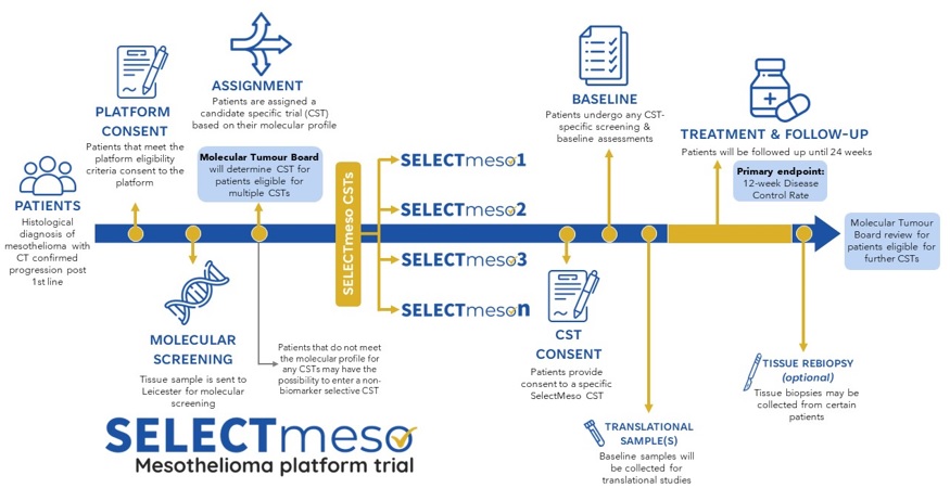 Trial design