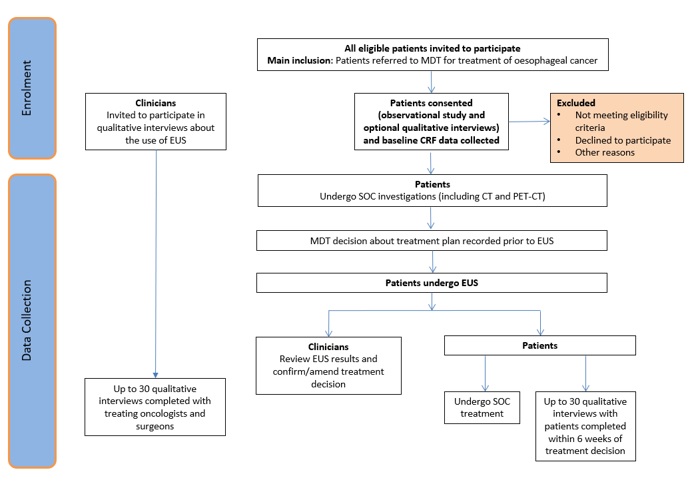 VALUE trial schema