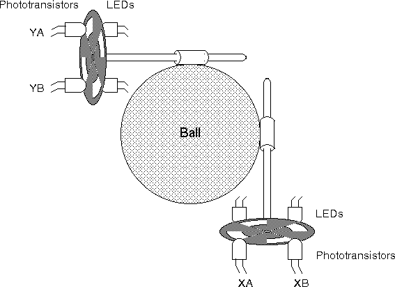 Construction of a Mouse