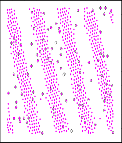 vortex-stripe.png