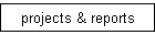 projects & reports