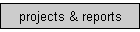 projects & reports