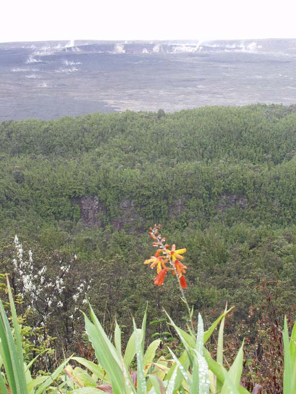 hawaii-crater