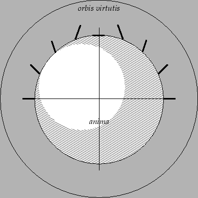 \includegraphics[width=0.7\textwidth,clip]{images/terrella}