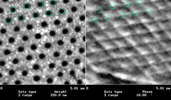 \includegraphics[width=1.0\textwidth]{images/antidots-mfm}