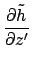 $\displaystyle {\partial \tilde{h} \over \partial z'}$